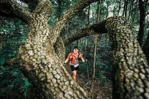 BIB: 
                            <button type="button" onclick="openModal(25394329)" class="btn btn-primary btn-sm float-right btn-popup" data-toggle="modal" data-target=".modal-high-quality">
                        <i class="fas fa-shopping-cart"></i> Add to Cart
                    </button>
                                            <button type="button" onclick="isThisMe(25394329, true)" class="btn btn-success btn-sm float-right btn-popup btn-isme hidden" data-toggle="tooltip" data-placement="bottom" title="นี่คือรูปของคุณใช่ไหม คลิกที่นี่เพื่อเอาเข้าอัลบั้ม">
                        <i class="fas fa-plus"></i> Add to album
                    </button>
                    <button type="button" onclick="isThisMe(25394329, false)" class="btn btn-warning btn-sm float-right btn-popup btn-isnotme hidden">
                        <i class="fas fa-ban"></i> Remove from album
                    </button>